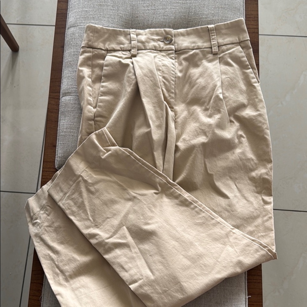 Women's Express Tan Pants
